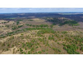 Property photo 44 - LAND AUCTION - 2,596+/- ACRES IN 28 TRACTS IN COSHOCTON & MUSKINGUM COUNTIES, OHIO